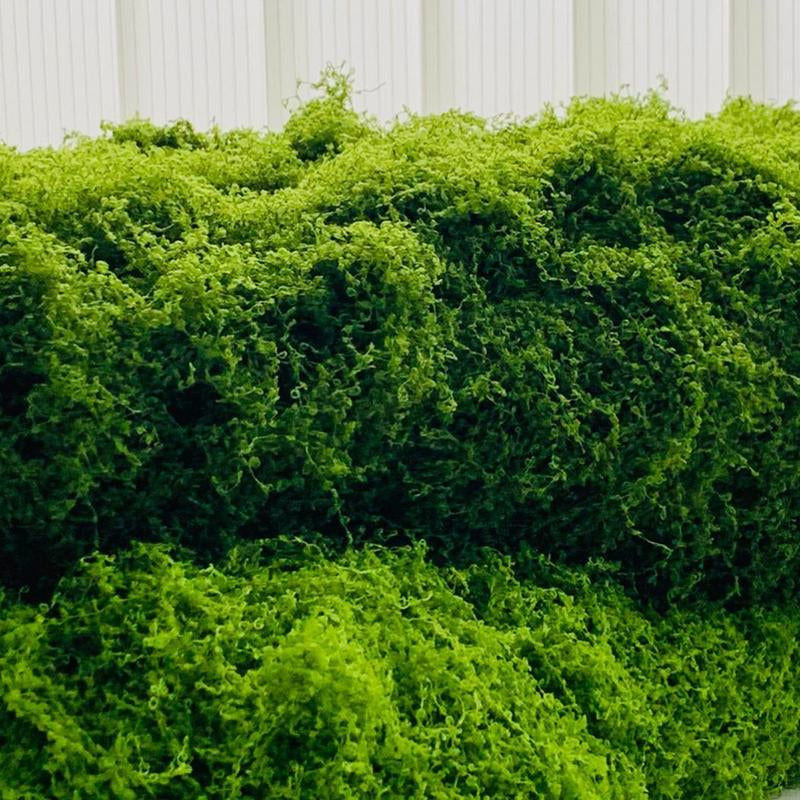 39.37In Artificial Moss Mat for Indoor Wall & Table Decor, Sustainable Nylon Material, Christmas Festival Decoration, Micro Landscape Making